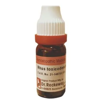 dr Reckeweg Rus toxing