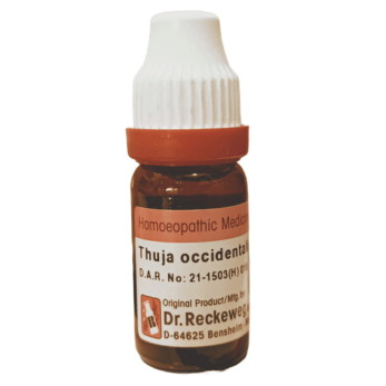 dr Reckeweg Thuja homeopathy medicine