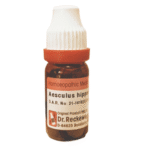 dr-Reckeweg-Aesculus-Hippocastanum-homeopathy-medicine