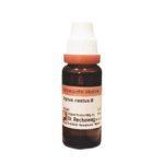 dr-Reckeweg-Agnus-Castus-homeopathy-medicine