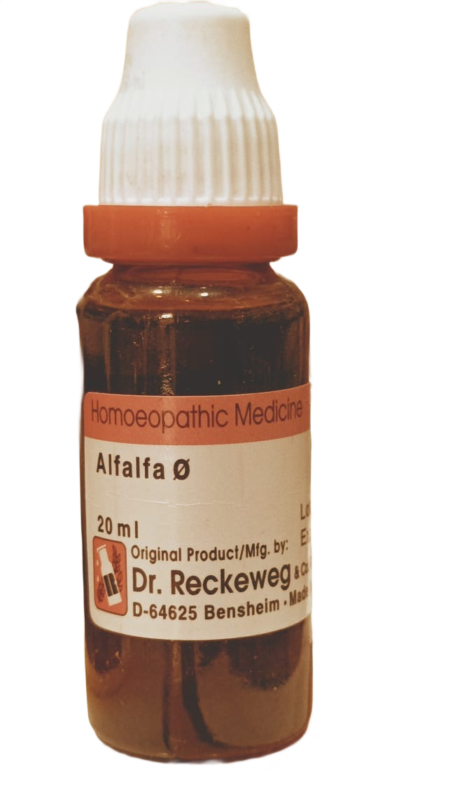 dr Reckeweg Alfalfa homeopathy medicine