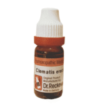 dr-Reckeweg-Clematis-erecta-homeopathy-medicine