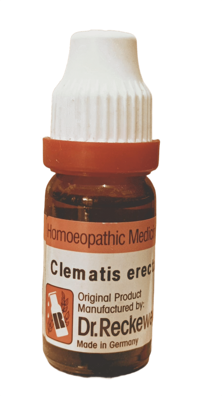 dr Reckeweg Clematis erecta homeopathy medicine