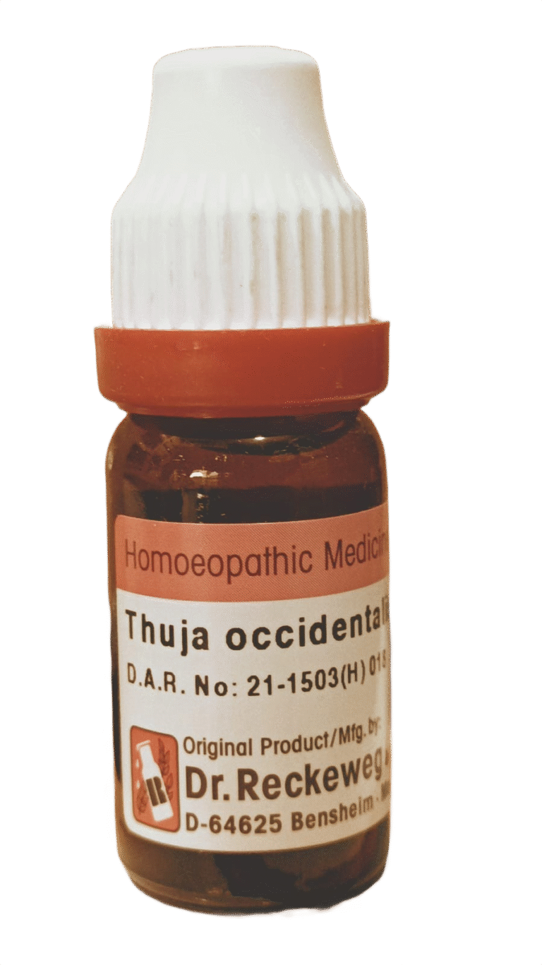 dr Reckeweg Thuja homeopathy medicine